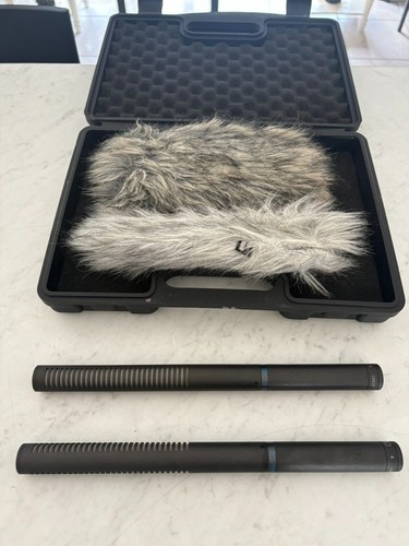 Coppia microfono audio - coppia,